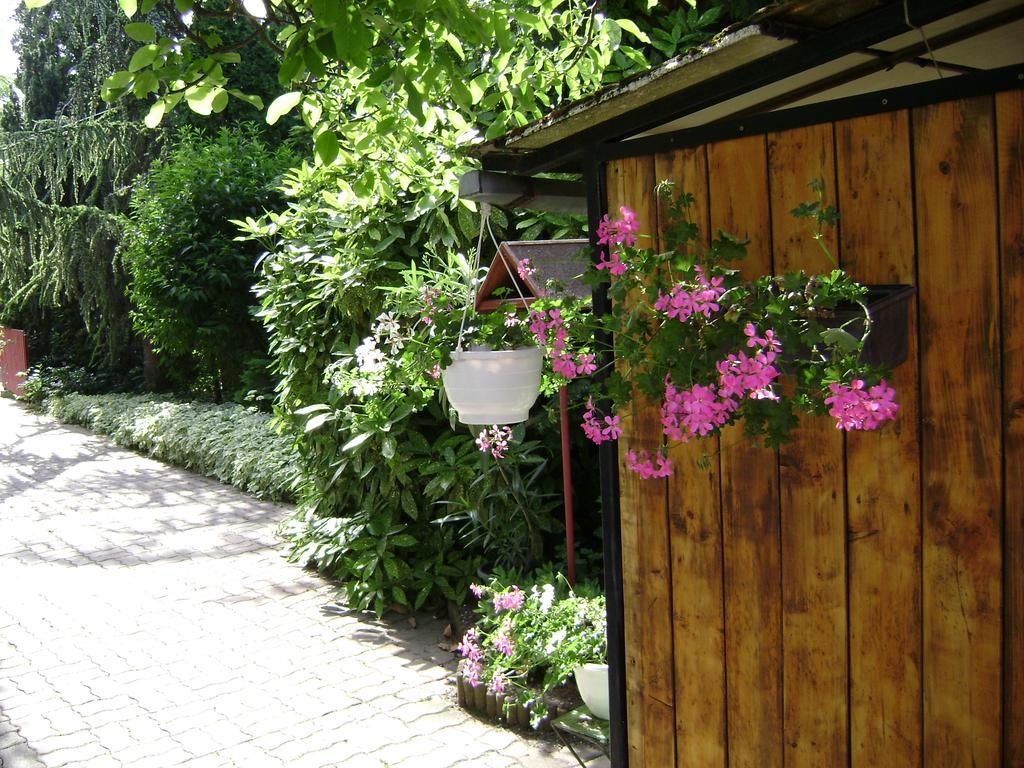 Bed and Breakfast Muskatli Vendeghaz Hévíz Exterior foto